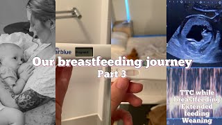 Breastfeeding journey | fertility, conceiving again, feeding while pregnant, weaning | part 3