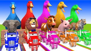 5 Giant Duck, Monkey, Piglet, chicken, cat, dog, lion, cow, Sheep, Transfiguration funny animal 2024
