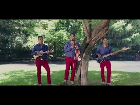 Corcel Huasteco Aunque el Mundo se Oponga