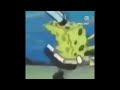 Spongegyatt