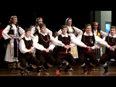 FMD IZVOR ST. GALLEN-GNJILANE