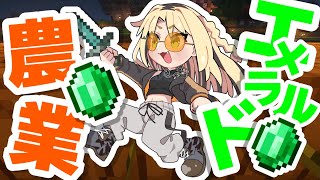 虎金妃笑虎 - 【朝活Minecraft】エメラルドで大富豪、、ニチャァ、、【虎金妃笑虎】