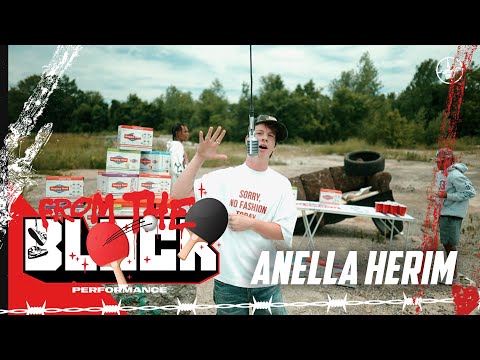 Anella Herim - Don’t HMU | From The Block Performance 🎙