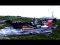 Alligator verstoort picknick: 'Salami had geen schijn van kans' - RTL NIEUWS