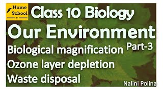 𝙊𝙪𝙧 𝙀𝙣𝙫𝙞𝙧𝙤𝙣𝙢𝙚𝙣𝙩 𝘽𝙞𝙤𝙡𝙤𝙜𝙮 𝘾𝙡𝙖𝙨𝙨 10 - Part 3