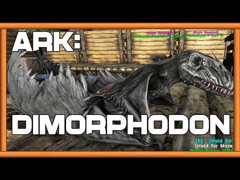 DIMORPHODONS!!! Where to find them in ARK: Survival Evolved