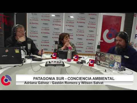 Patagonia Sur - Conciencia Ambiental. Adriana Galvez-Wilson Salvat- Gastón Romero Programa 7-2026