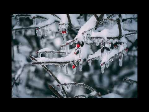 Concerto grosso op 6 no 8 (mvt 5 Allegro) - A. Corelli, arr. K. Inglefield