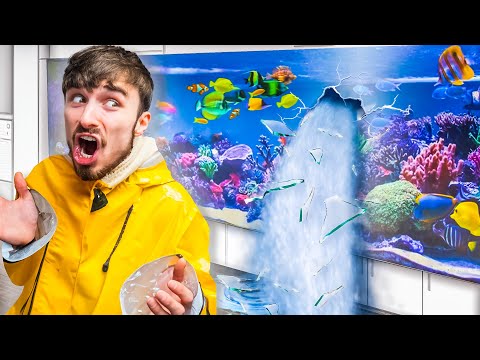 Fixing Leaking Tanks at the Aquarium: What Went Wrong?