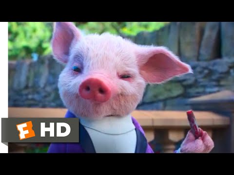 Peter Rabbit 2: The Runaway (2021) - Forming a Crew Scene (7/10) | Movieclips