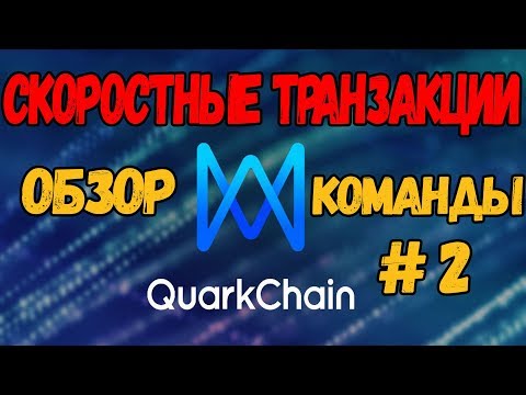 КРИПТА В ПЛЮС! ОБЗОР проекта QuarkChain #2 (Команда)