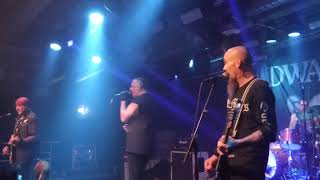 The Dwarves - Sluts of the USA "Live@Kraken"