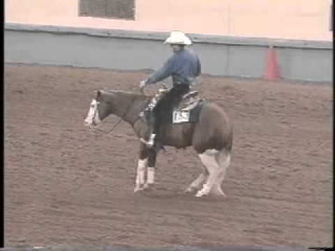 YouTube          Gunner Colonels Smoking Gun