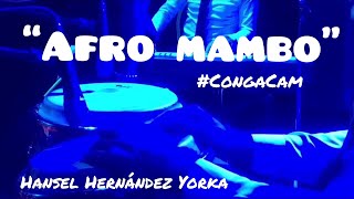 Afro Mambo-Conga Cam Hansel Hernández con Carlitos Calunga New Star Buena Vista