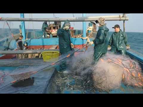 Amazing Gill Net Fishing Line On the Boat #09