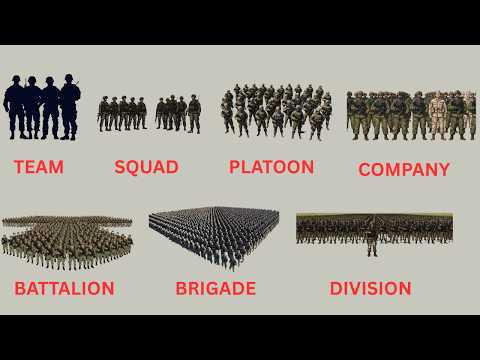 US Army Structure Explained – From Squad to Corps | US Army Structure