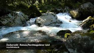 preview picture of video 'Zauberwald Ramsau Berchtesgadener Alpen'