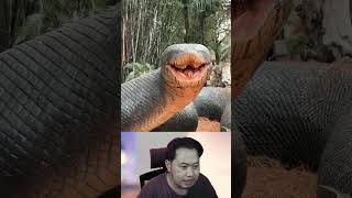 Download lagu Ular Raksasa Yang Ditemukan MAnusia!! #m4zsda #shortvideos #horrorgaming #shorts #reaction mp3