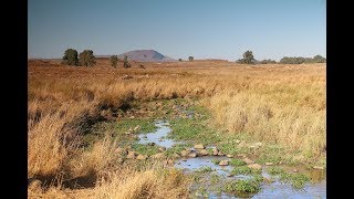 L'UNIVERS DE BRESLEV