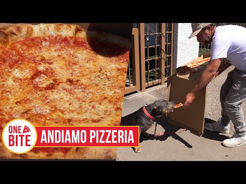 Barstool Pizza Review - Andiamo Pizzeria (Scottsdale, AZ)