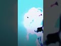 Mayeon Allofusaredead Nayeon Kpop Imnotcool Keşfetbeniöneçıkar