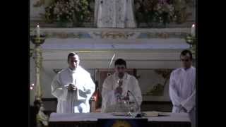 preview picture of video 'Festa da Divina Misericórdia (Santa Eucaristia) na Igreja Matriz de S.João de Loureiro 15/04/2012'