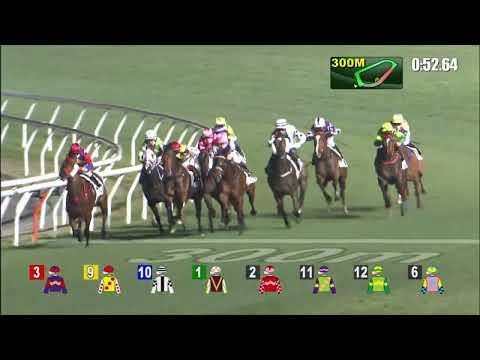 2/3/2022 (468) Lucky Archangel - Z Purton