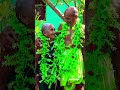 Mile Honge Radha Krishna ‍ ️‍ Vivah Movie Song Shorts Ytshorts Oldisgold