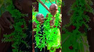 Download lagu Mile honge Radha Krishna👩‍❤️‍👨 Vivah Movie Song😘😍#shorts #ytshorts #oldisgold mp3