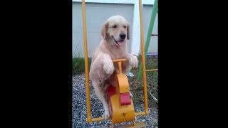 I Can&#39;t Believe Some People Say This Is Wrong.  I Think It&#39;s Absolutely Gorgeous.