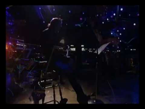 Metallica(S&M)-Ecstasy of Gold