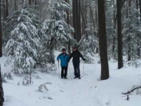 05 01 2011 Hohe Loog