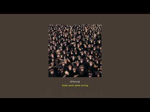 Video thumbnail for Ape Song