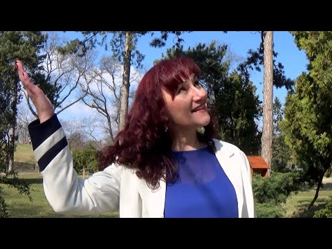 A fülemüle farsangja (Hivatalos videoklip) 🐦🎵🎶