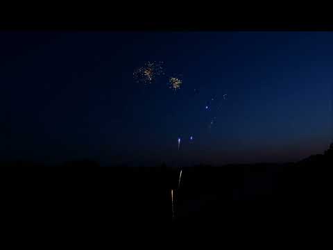 Wild Dragon The Big Show 1/1