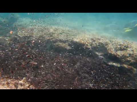 2022 0518 112728 060