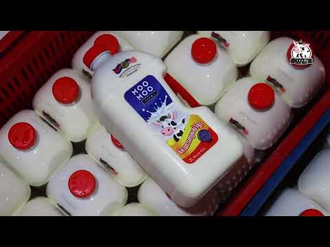 កសិកដ្ឋាន មូមូ ហ្វាម ផលិតនិងចែកចាយទឹកដោះគោស្រស់ ១០០%