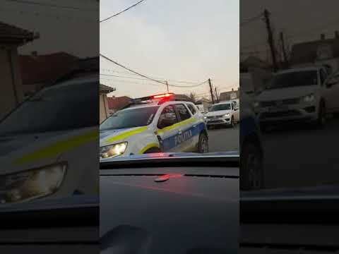 Patru transporturi agabaritice pe ruta Calafat-Podari