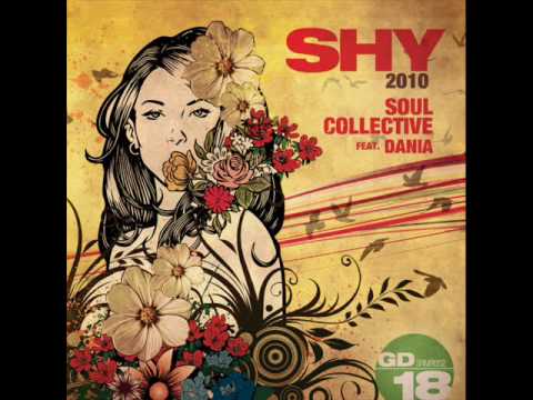 Soul Collective feat. Dania - Shy (The Suppliers Vocal Remix)