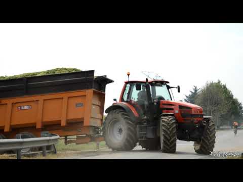 INSILATO MAIS 2018 - AZ.AGRICOLA RESMINI