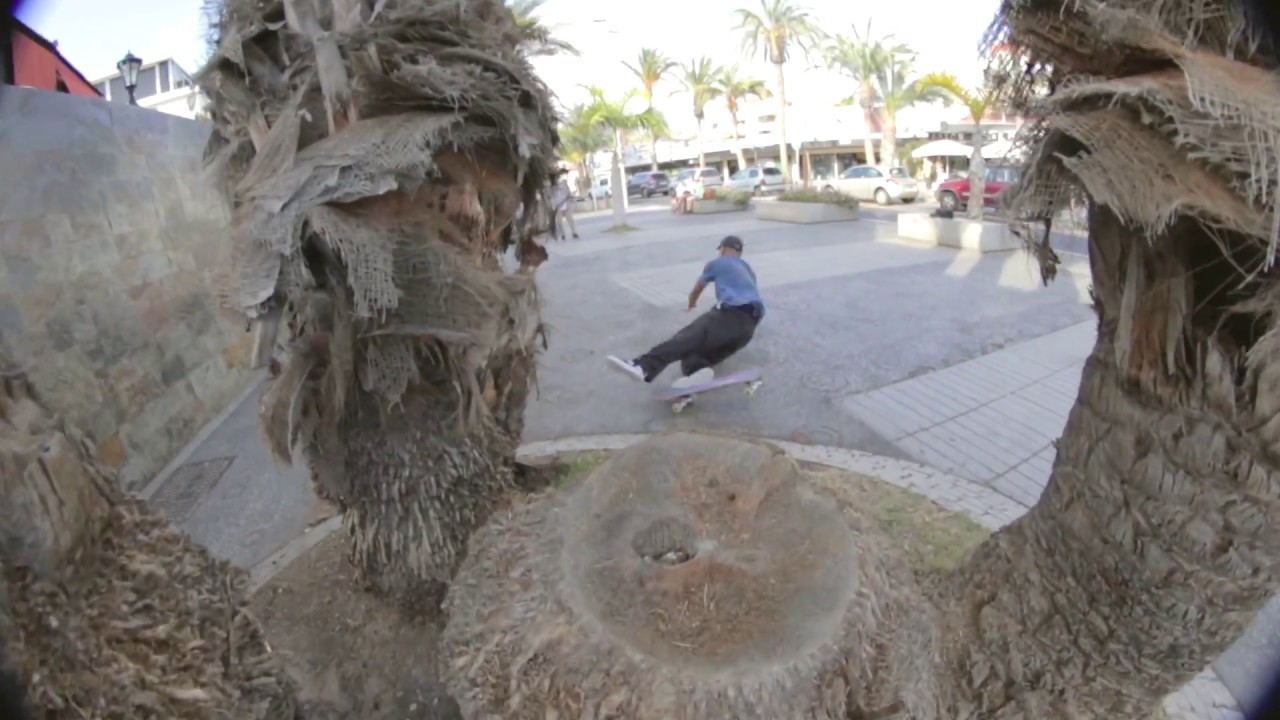 BDSKATECO presenta a su nuevo equipo