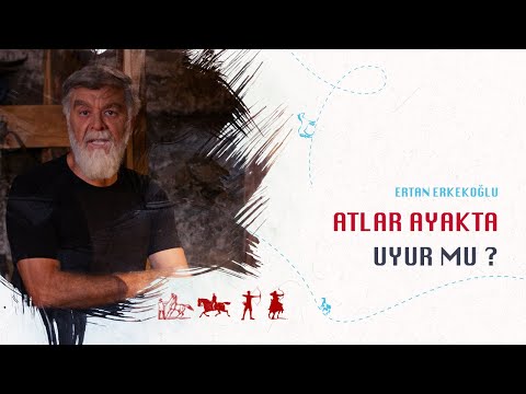 , title : 'Atlar Ayakta Uyur Mu ?  | Ertan Erkekoğlu'