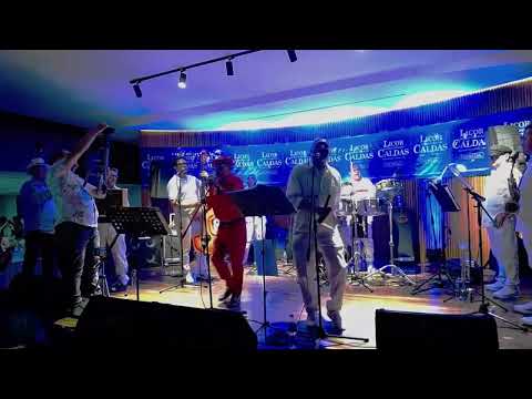 DAME CANTINERO Puro Blanco