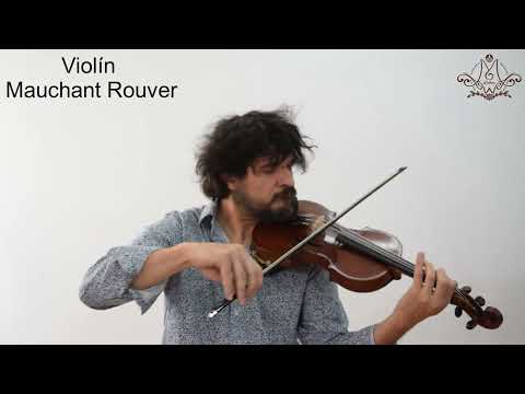 Mauchant, Rouver Violin Mirecourt 1800 - Oil image 11