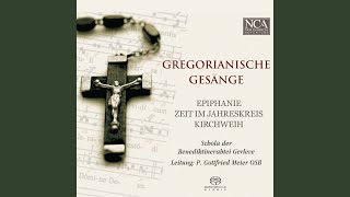 Messgesänge im Jahreskreis: III. Alleluia Domine refugium