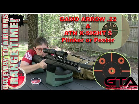GAMO ARROW & ATN X-SIGHT 5 - Gateway to Airguns Range Time