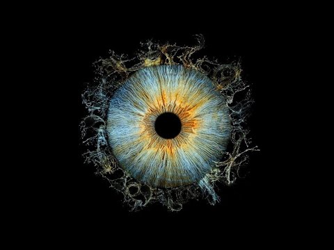 ALBUM COMPLETO DE SEVEN KAYNE - BUSCANDO LA LUZ