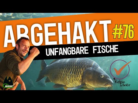 CHECKED OUT #76: Uncatchable Fish (Do they really exist? 🤯)