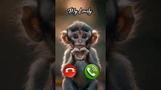 Download lagu monkey calling #calling #animal #cute #trending #shorts #animalcute mp3 Download lagu monkey calling #calling #animal #cute #trending #shorts #animalcute mp3