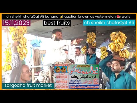 Abdul Hameed bhai & shafeeQ Bhai banana 🍌 auction ✓ 15,11,2023 ✓ sargodha fruit market ✓
